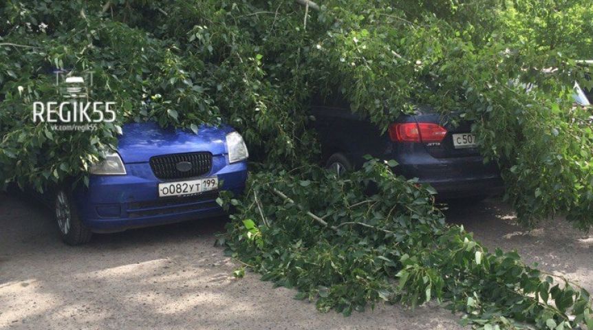 В Омске автомобили накрыло деревьями В Омске автомобили накрыло деревьями