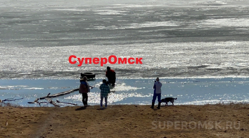Спасенная со льда Иртыша под Омском собака обрела имя и место у властей Спасенная со льда Иртыша под Омском собака обрела имя и место у властей