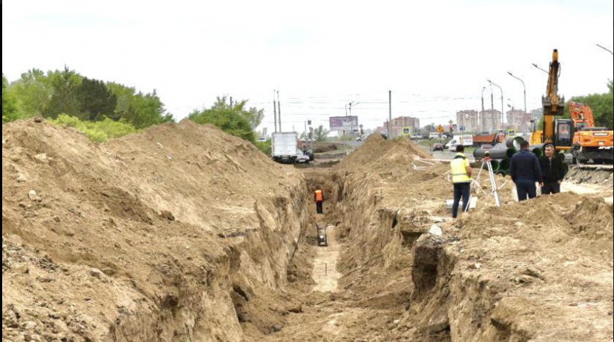 Город Мэрия Омска объяснила вырубку шаровидных ив на улице Крупской