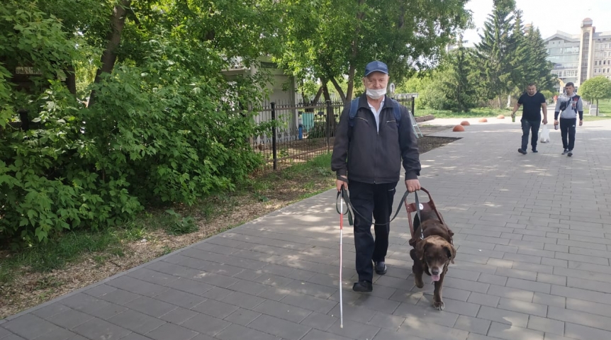 Общество В беду попала преданная старенькая собака-поводырь Ювента: помогли ей омичи