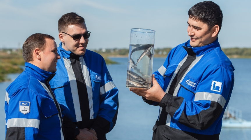Промышленность Омский НПЗ провел экологическую акцию по выпуску мальков в Иртыш
