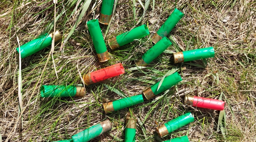 В Омске решили ликвидировать спортшколу В Омске решили ликвидировать спортшколу