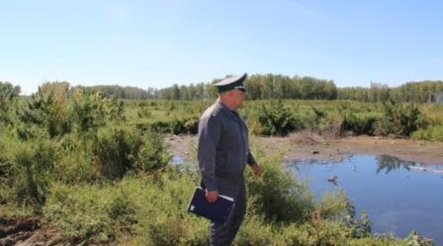 Общество В омской почве нашли кишечную палочку и фекальные энтерококки