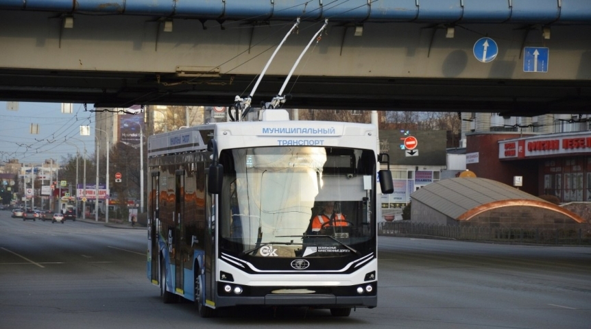 Водитель омского троллейбуса спасла девушку на мосту