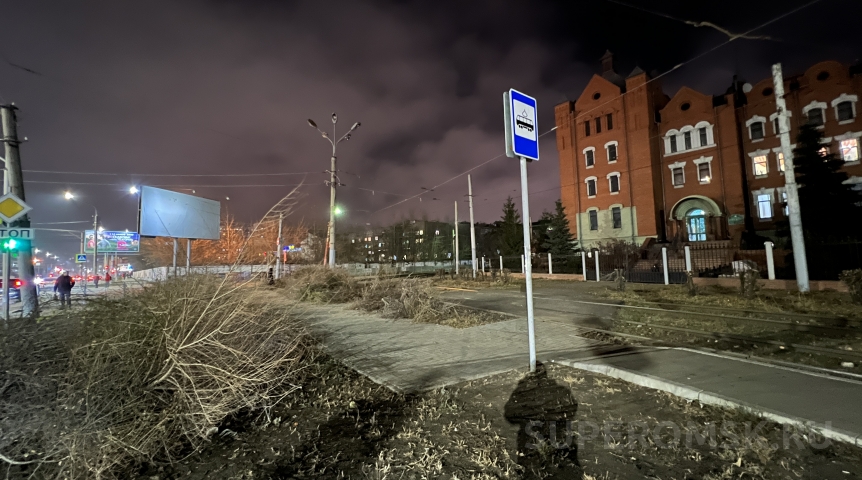 В Омске спилили зеленую изгородь на улице Маршала Жукова В Омске спилили зеленую изгородь на улице Маршала Жукова