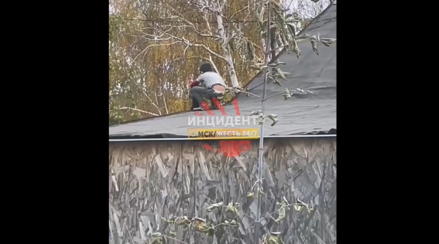 Общество На видео попал ребенок, сбрасывающий щенка с высоты в Омске