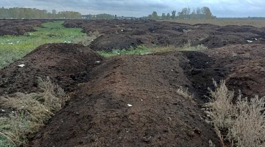 Общество Россельхознадзор заявил о загрязнении земли в Омском районе фекальными бактериями