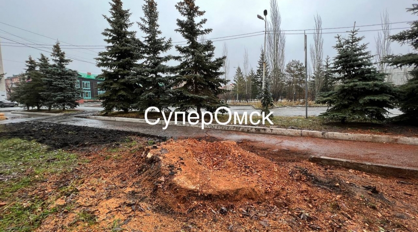 В Омске снесли 100-летнюю «Белую иву»
