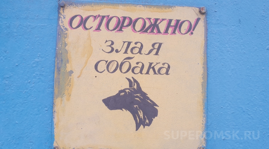 Общество Омич пожаловался на соседей, которые выгоняют бойцовскую собаку в подъезд