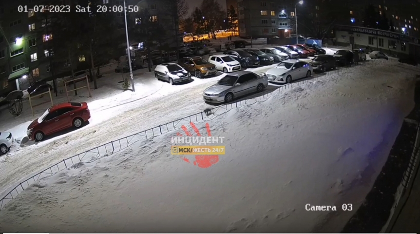 Общество В Омске из окна высотки рухнула и разбилась кошка