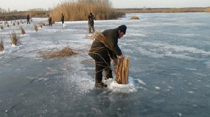 Общество В Омской области готовятся к мору рыбы в водоемах