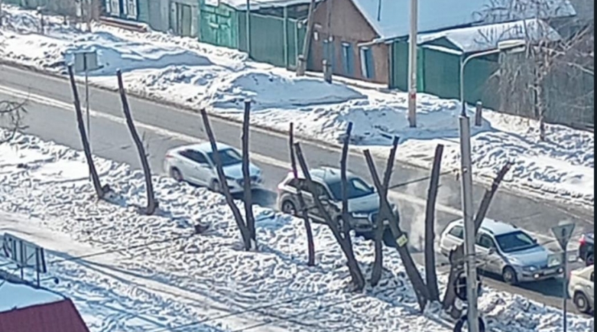 Мэрия Омска прокомментировала кронирование ив на 20-й линии Мэрия Омска прокомментировала кронирование ив на 20-й линии
