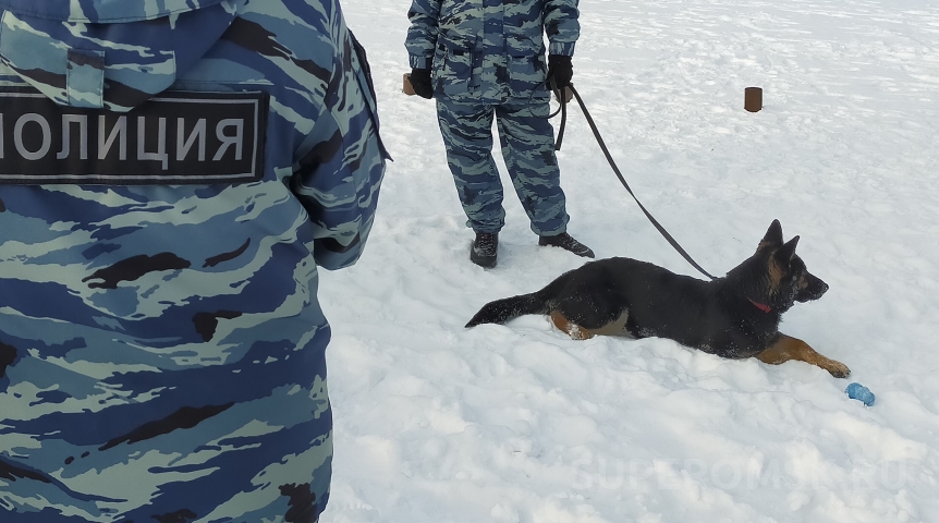 Криминальные новости Омич устроил конопляную оранжерею на базе умершего отца
