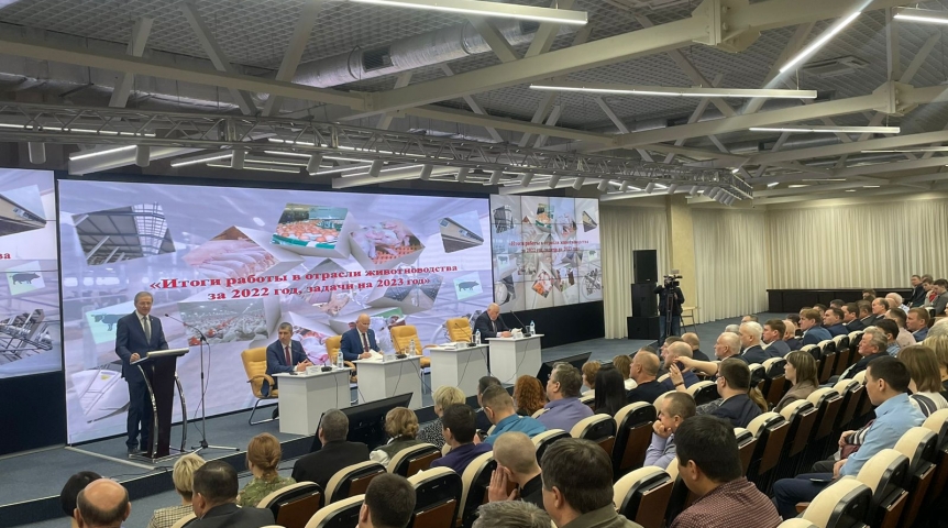В Омской области на развитие животноводства в 2023 году планируется направить более 1 миллиарда рублей В Омской области на развитие животноводства в 2023 году планируется направить более 1 миллиарда рублей