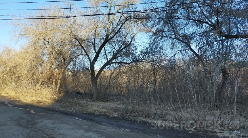 В Омске застроят участок у спортшколы