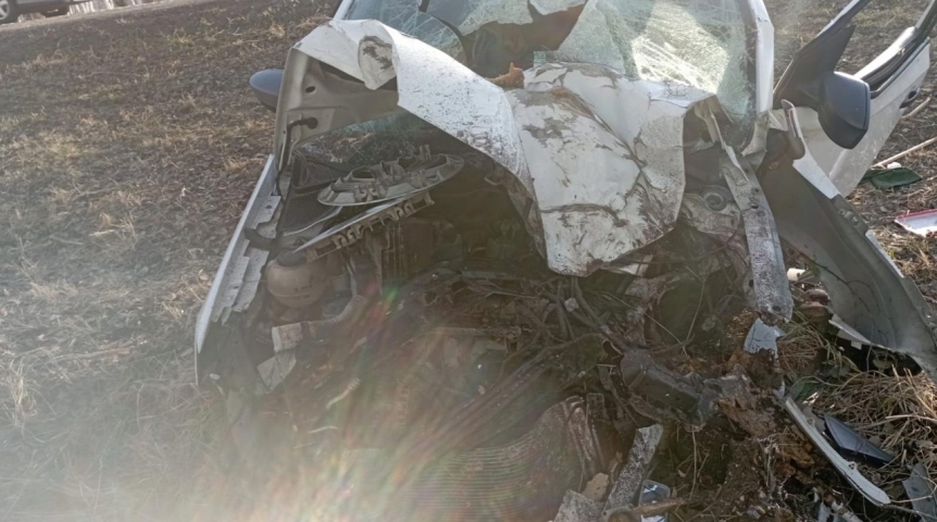 На омской трассе женщина за рулем улетела в кювет и разбилась об дерево На омской трассе женщина за рулем улетела в кювет и разбилась об дерево
