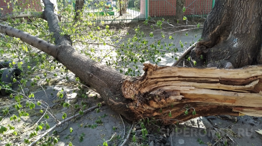 В Омскую область нагрянет пугающая погода В Омскую область нагрянет пугающая погода