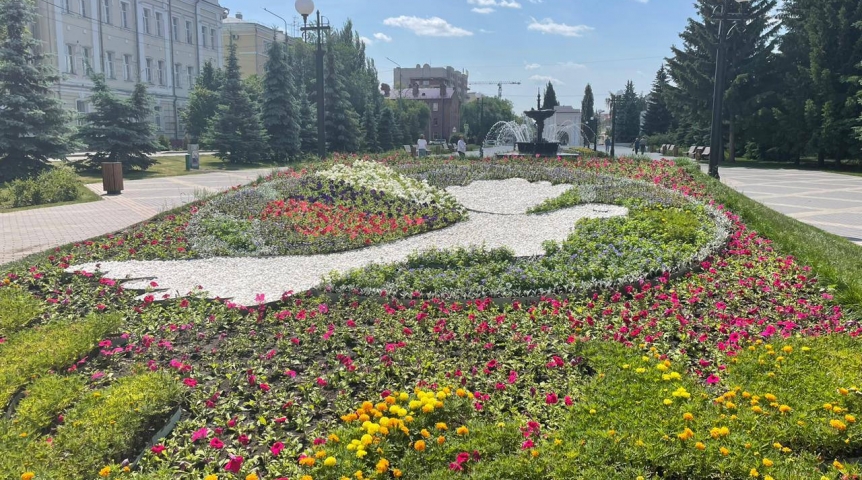 В центре Омска создали голубя мира из 14 тысяч цветов В центре Омска создали голубя мира из 14 тысяч цветов