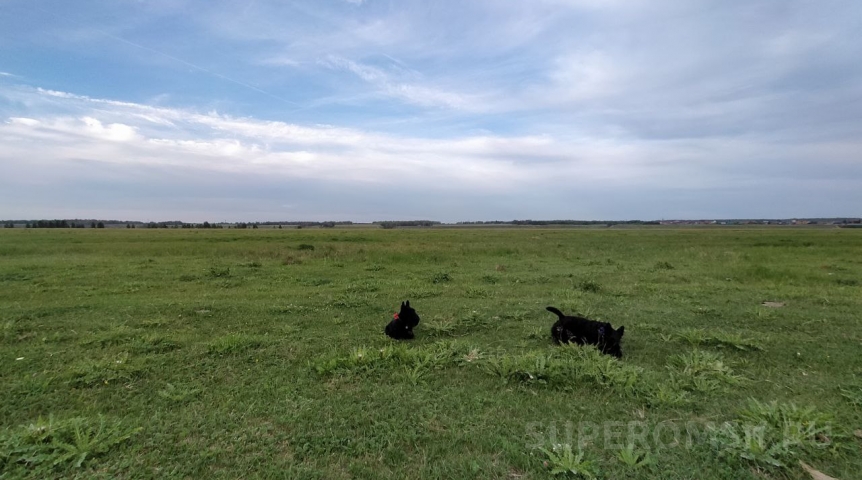 Под Омском незаконно захватили землю Под Омском незаконно захватили землю