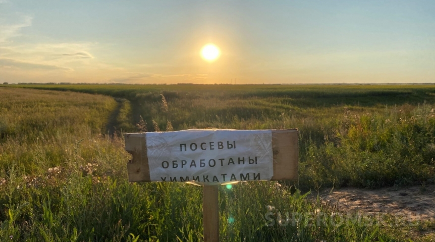 Общество В Омской области на посевах нашли вредоносных гусениц