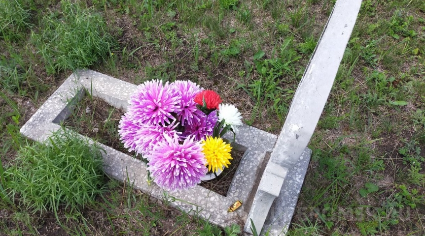 Общество В Омской области сократилась смертность