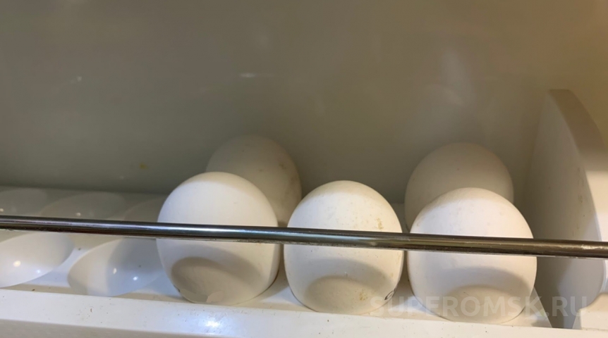 Общество В Омске зафиксирован рост цены на куриные яйца