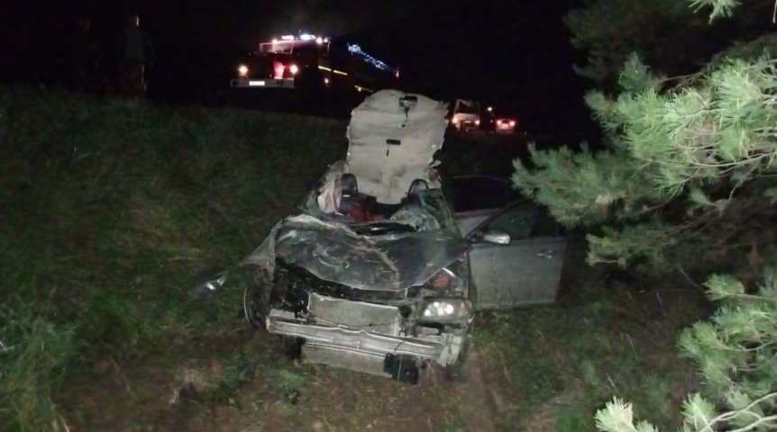 Происшествия в Омске При столкновении авто с лошадью погиб молодой житель Омской области