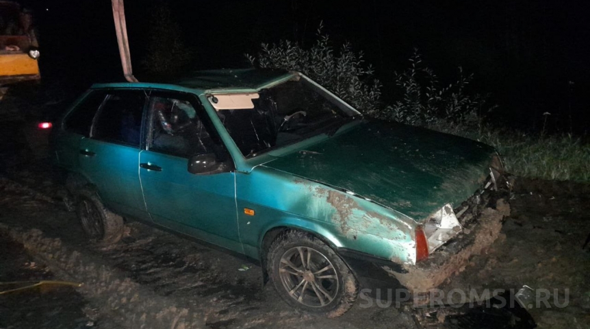 Мать и трое детей захлебнулись в кювете под Омском Мать и трое детей захлебнулись в кювете под Омском