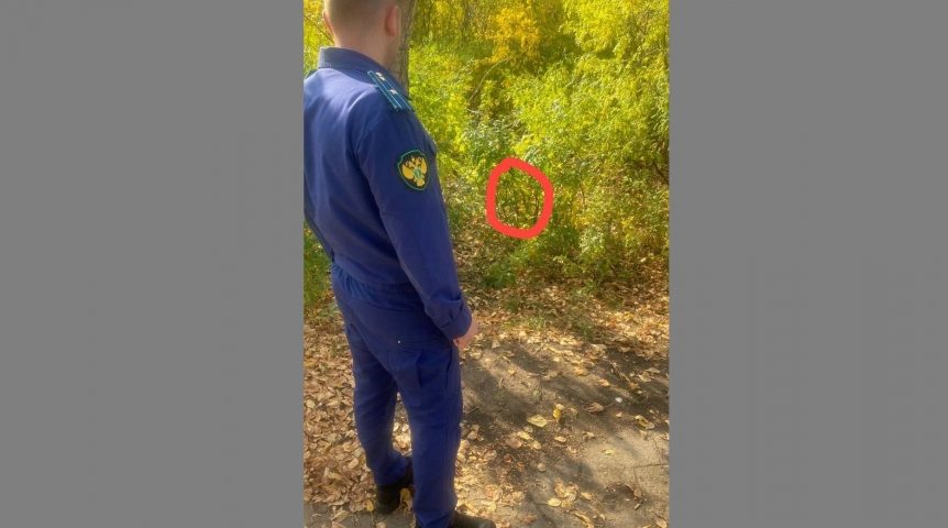 «Завернул в рабочую куртку»: спаситель найденного в омской лесопосадке новорожденного озвучил свою версию «Завернул в рабочую куртку»: спаситель найденного в омской лесопосадке новорожденного озвучил свою версию
