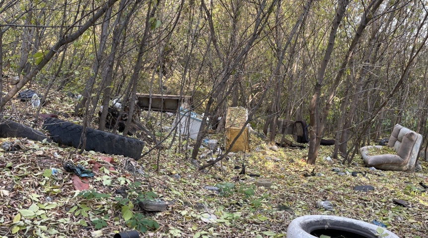 Важное В Омском районе массово ликвидируют несанкционированные свалки