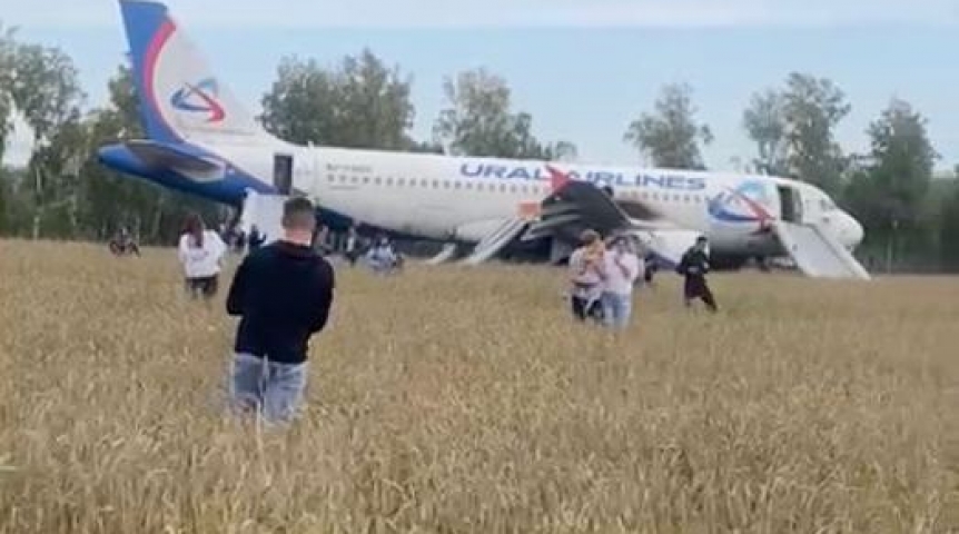 Общество «Начали аплодировать»: пассажирка о посадке самолета Сочи – Омск в поле под Новосибирском