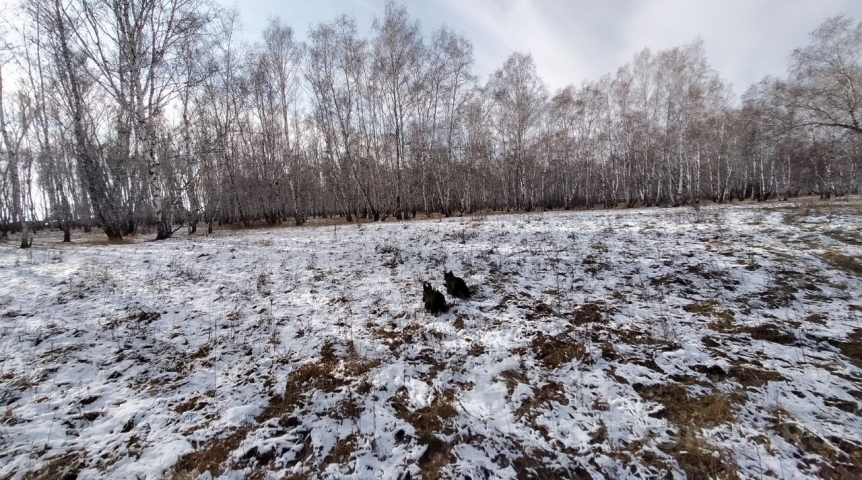 Погода в Омске На Омскую область надвигается мощная волна холода до -20 °С