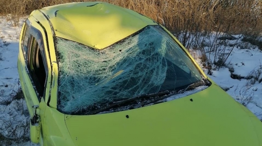 На трассе под Омском опрокинулась ярко-желтая «Тойота»: пострадали женщина и ребенок На трассе под Омском опрокинулась ярко-желтая «Тойота»: пострадали женщина и ребенок