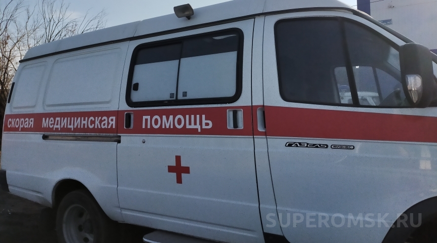 Происшествия в Омске В Омской области водитель снес женщину с девочкой на пешеходном переходе