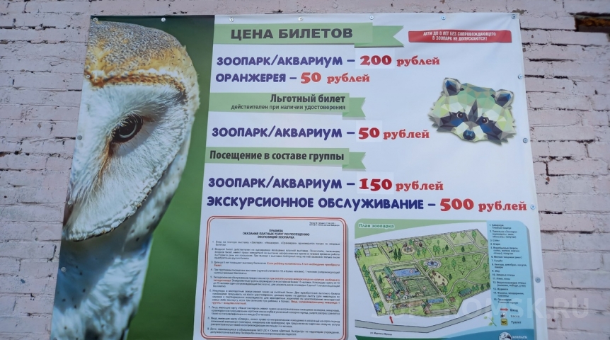 Общество Зоопарк на Жукова в Омске озвучил график работы в новогодние каникулы