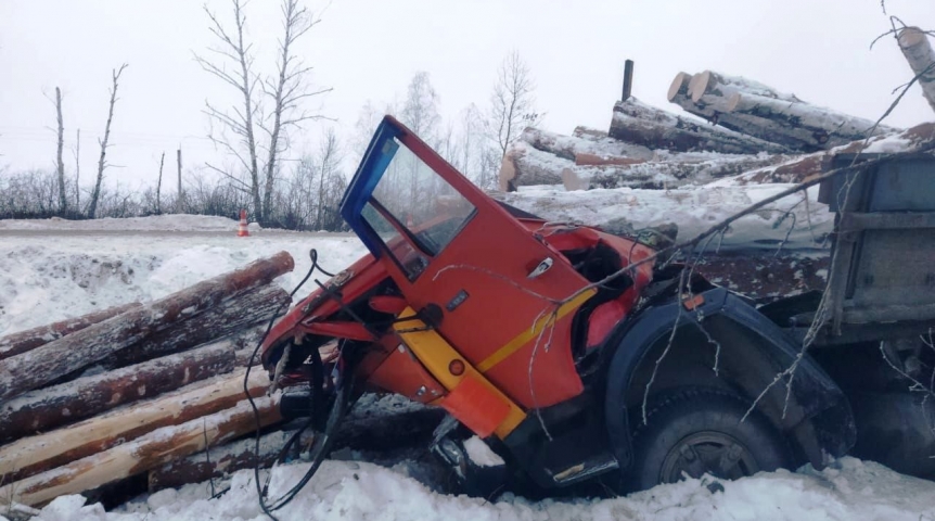 В Омской области бревнами из прицепа раздавило водителя и пассажира КамАЗа В Омской области бревнами из прицепа раздавило водителя и пассажира КамАЗа
