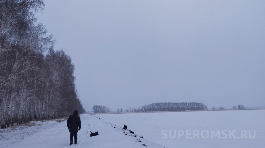 Погода в Омске Весна в Омской области начнется с аномальных морозов