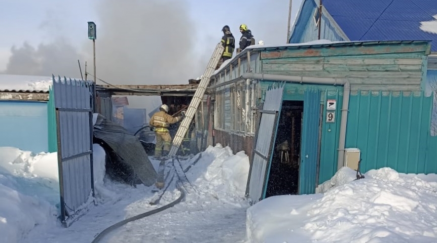 Происшествия в Омске Из горящего подворья пожарные спасли напуганную собаку