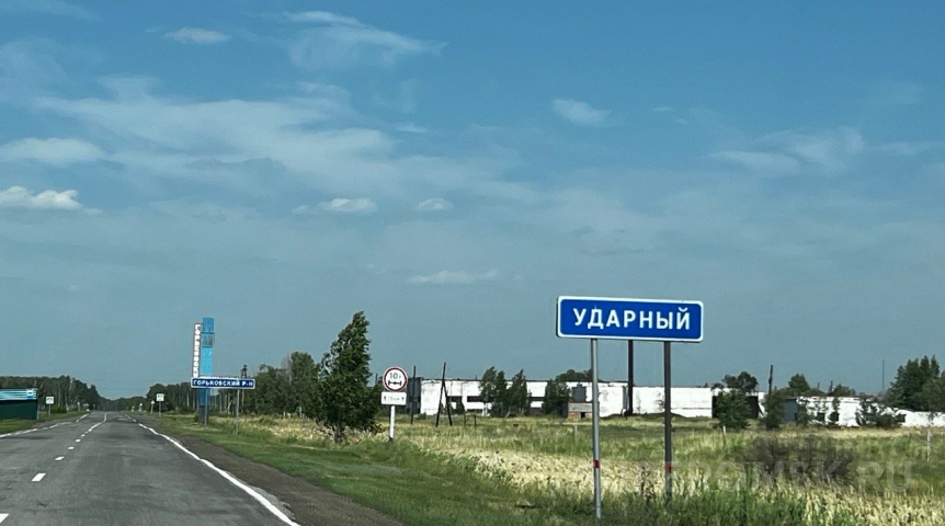 Сельское хозяйство Под Омском ликвидировали свинокомплекс