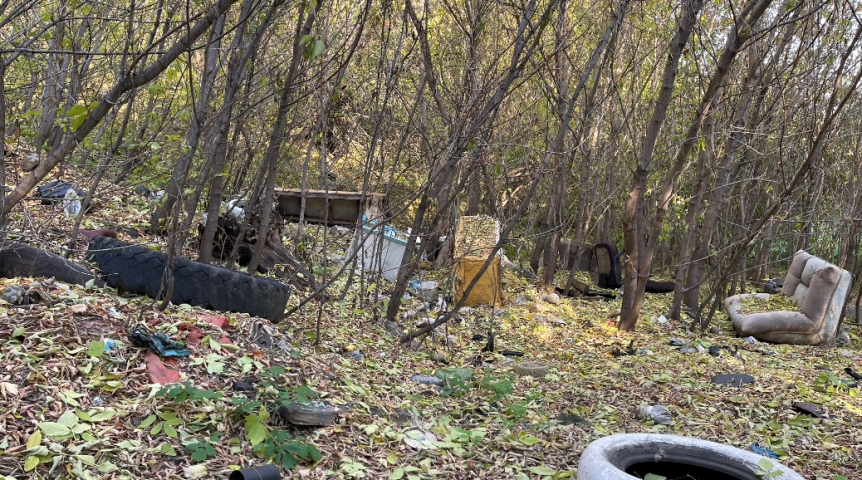 В Омске утверждены даты общегородских субботников на 2024 год В Омске утверждены даты общегородских субботников на 2024 год