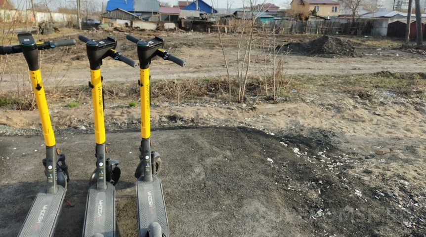 Общество В Омске число желтых электросамокатов вырастет на треть