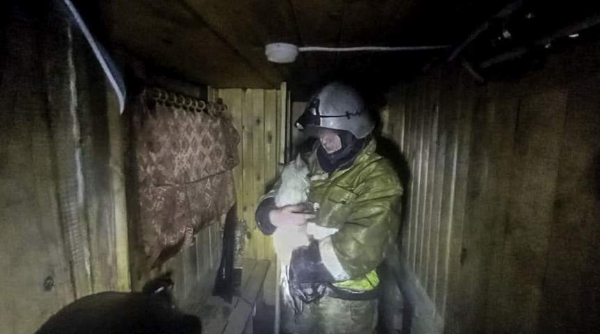 Происшествия в Омске Из горящего дома спасли спрятавшуюся кошку Люську