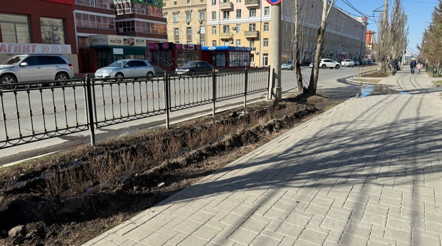 В мэрии Омска прокомментировали порыв на сетях под только высаженными кустарниками В мэрии Омска прокомментировали порыв на сетях под только высаженными кустарниками