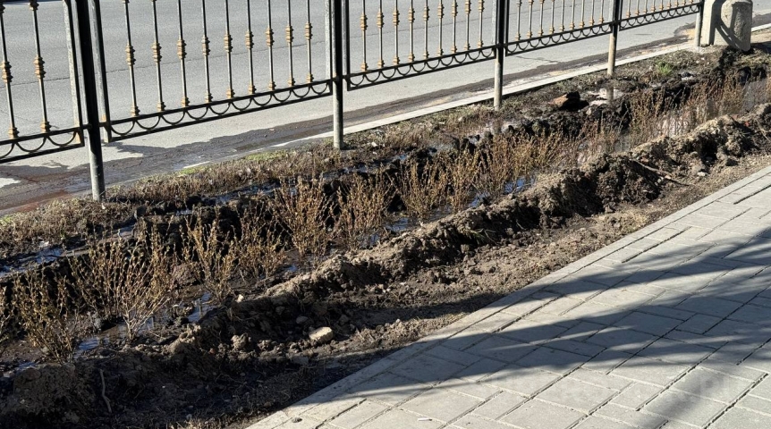 Под только высаженными кустарниками в центре Омска прорвало трубу Под только высаженными кустарниками в центре Омска прорвало трубу