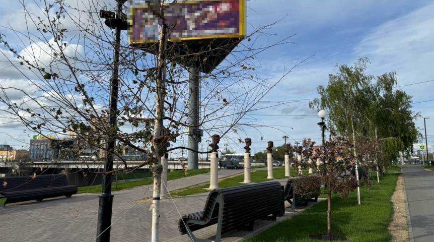 Деревья на Аллее олимпийцев в центре Омска не дали листву Деревья на Аллее олимпийцев в центре Омска не дали листву
