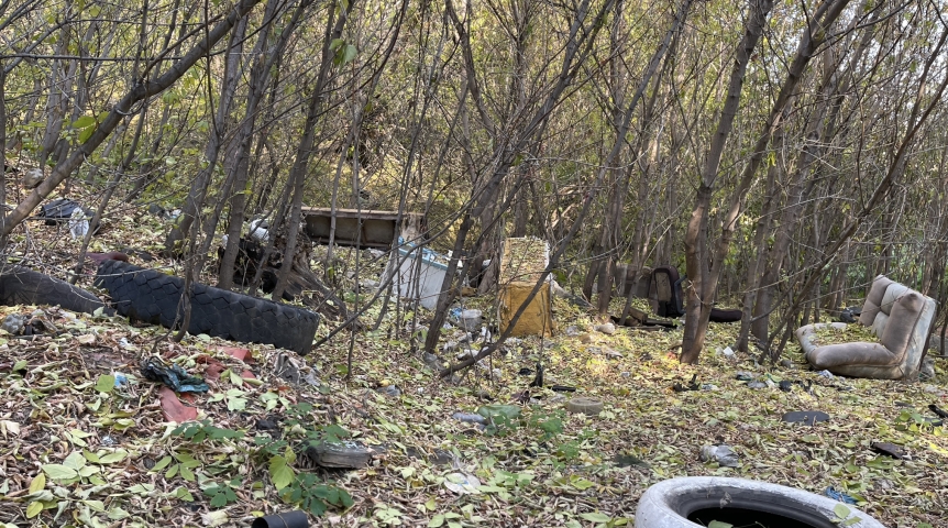 Каким районам Омской области выделены средства на ликвидацию свалок ТКО? Каким районам Омской области выделены средства на ликвидацию свалок ТКО?