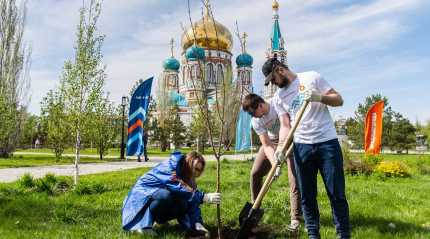 Общество На центральной площади Омска появилась абрикосовая роща