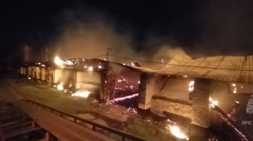 Происшествия в Омске Появились кадры крупного пожара в зернохранилище под Омском