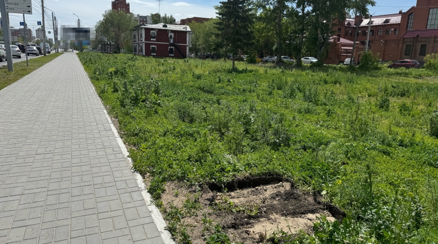 С центральной улицы Омска пропали украшения С центральной улицы Омска пропали украшения