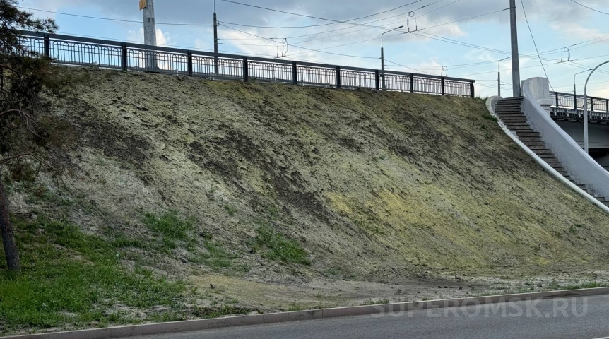 Осыпающуюся часть Ленинградского моста начали укреплять Осыпающуюся часть Ленинградского моста начали укреплять